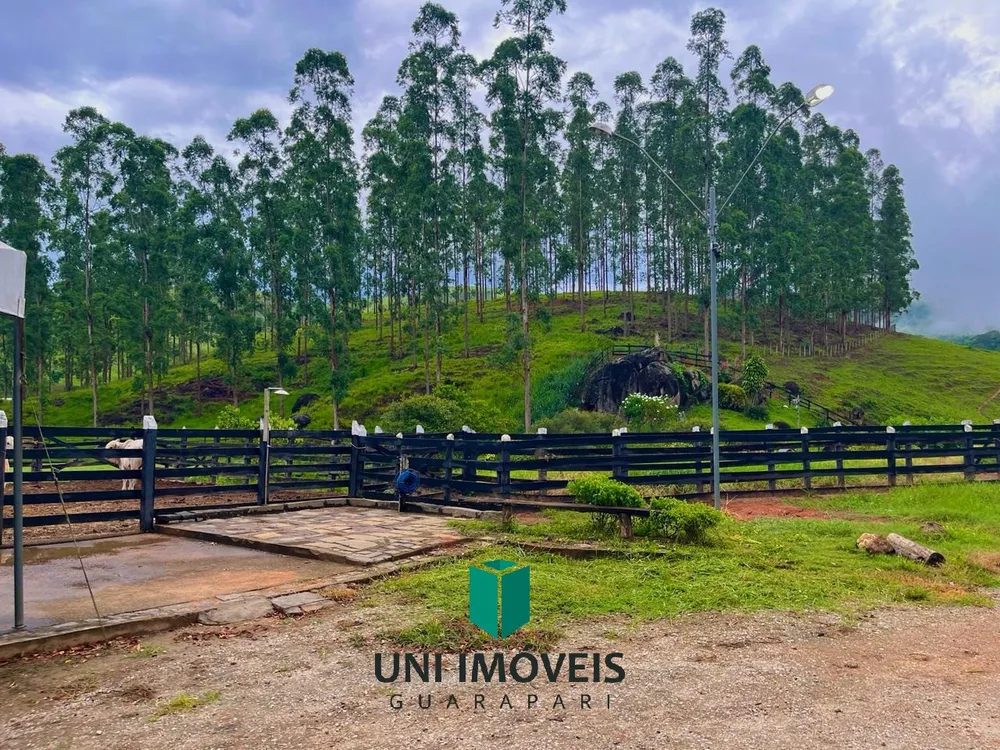 Fazenda, 111 hectares - Foto 3