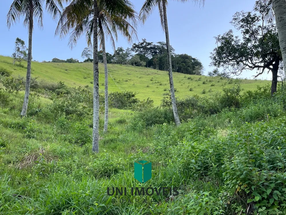 Fazenda, 2 hectares - Foto 11