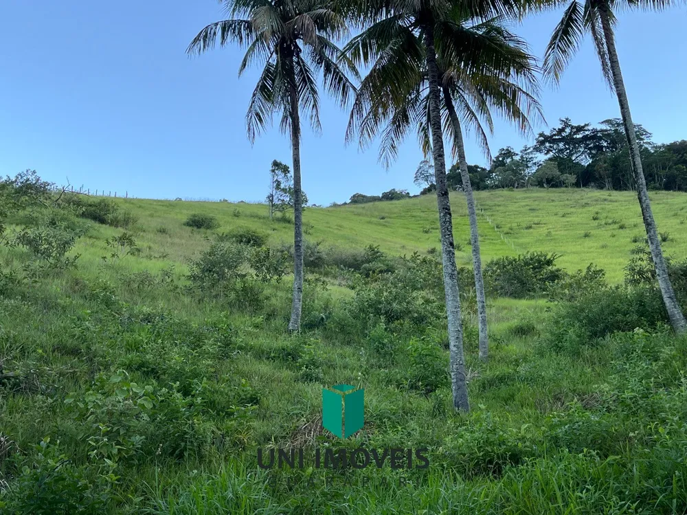 Fazenda, 2 hectares - Foto 12