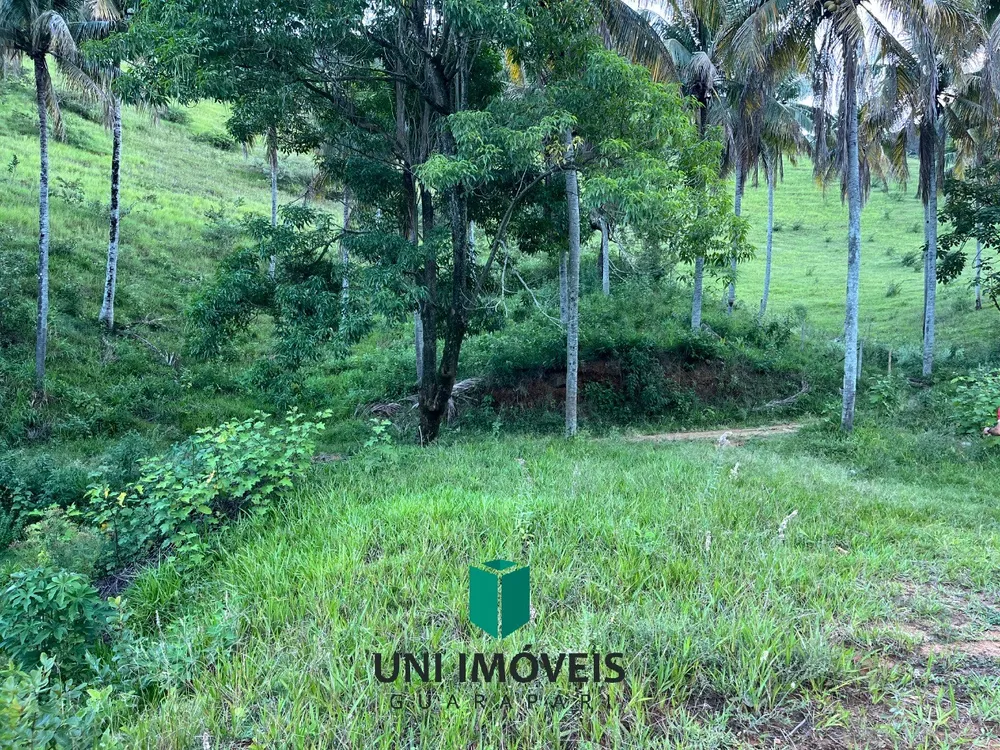 Fazenda, 2 hectares - Foto 13