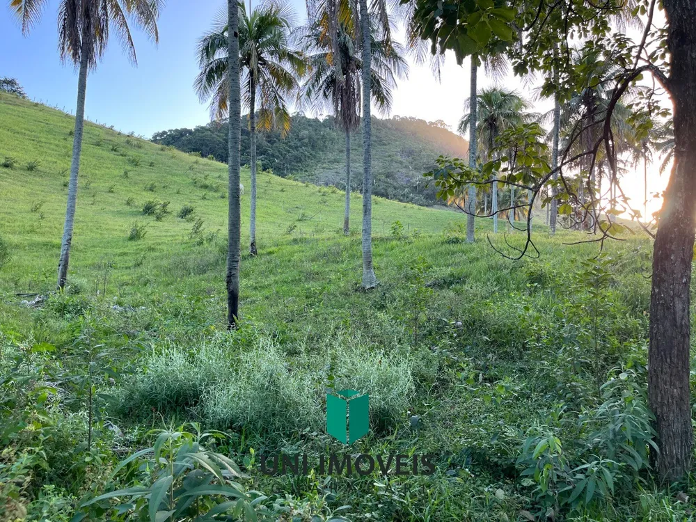 Fazenda, 2 hectares - Foto 4