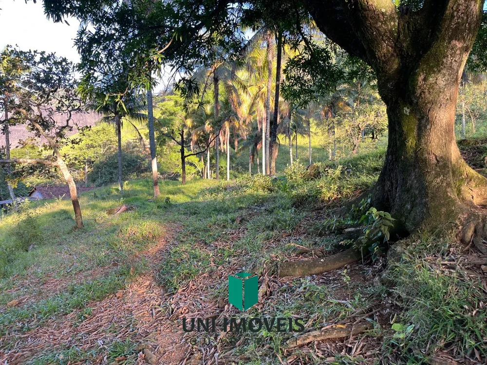 Fazenda, 2 hectares - Foto 6