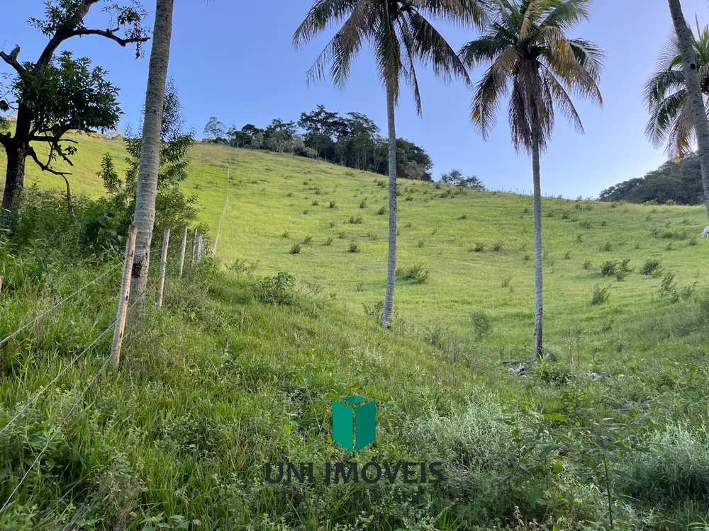 Fazenda, 2 hectares - Foto 3