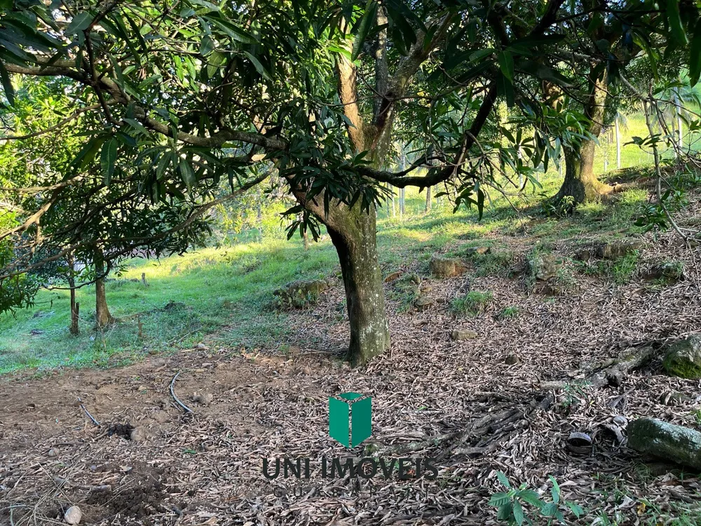 Fazenda, 2 hectares - Foto 10