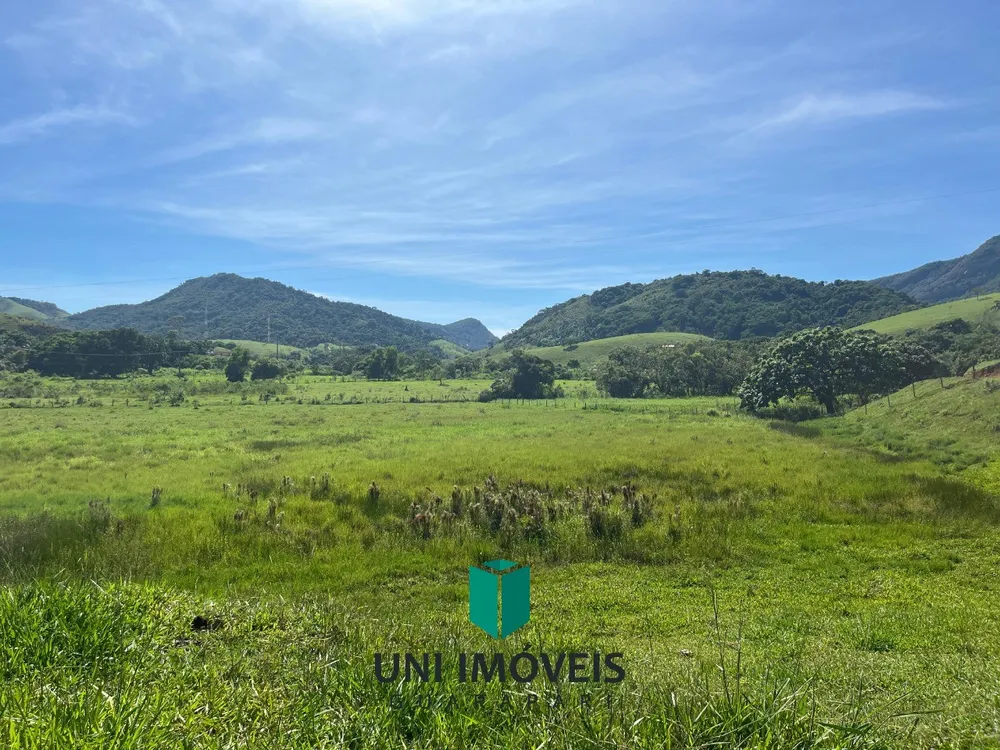 Fazenda, 2 hectares - Foto 11