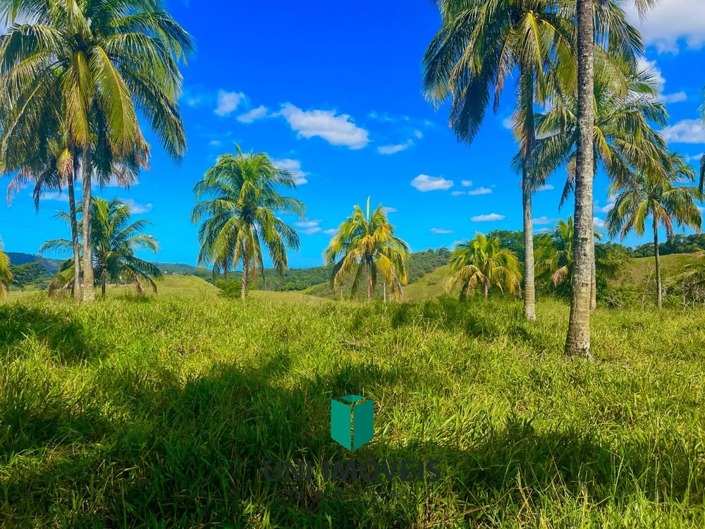 Fazenda, 2 hectares - Foto 12