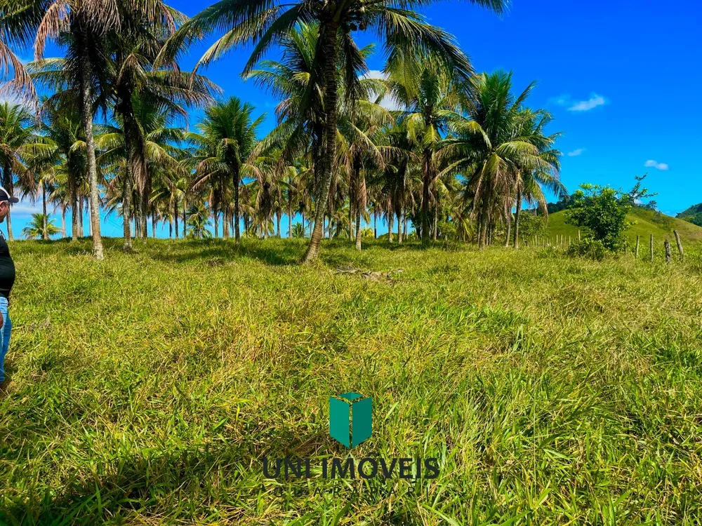 Fazenda, 2 hectares - Foto 3