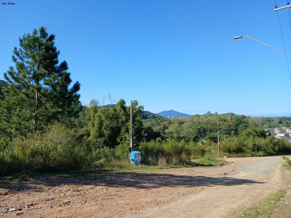 Terreno - Foto 2