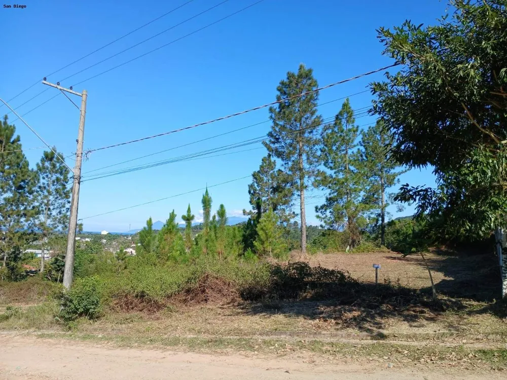 Terreno - Foto 4