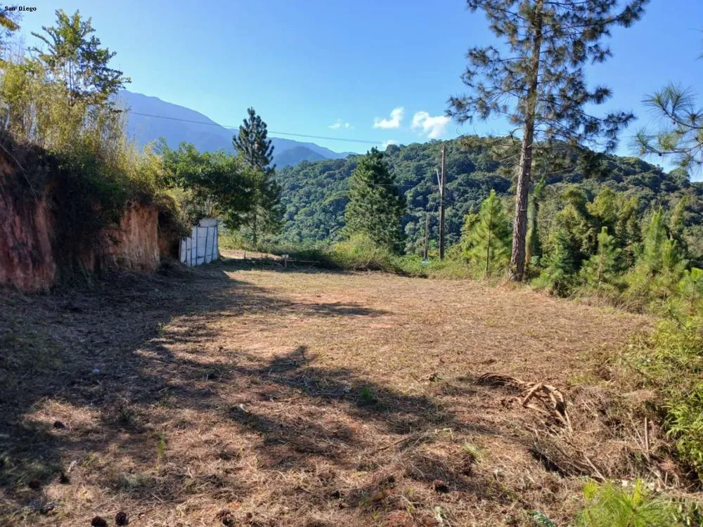 Terreno - Foto 6