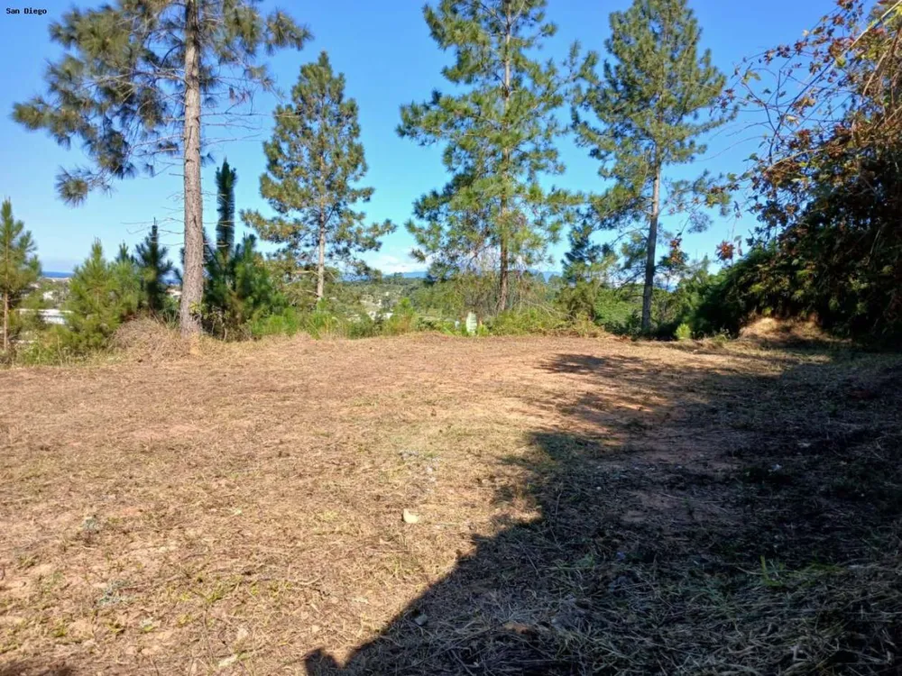 Terreno - Foto 1