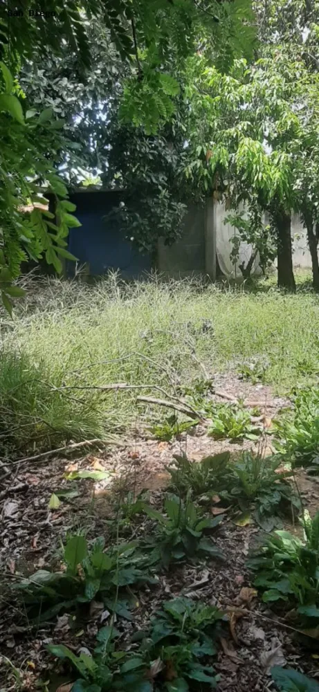 Terreno, 250 m² - Foto 1