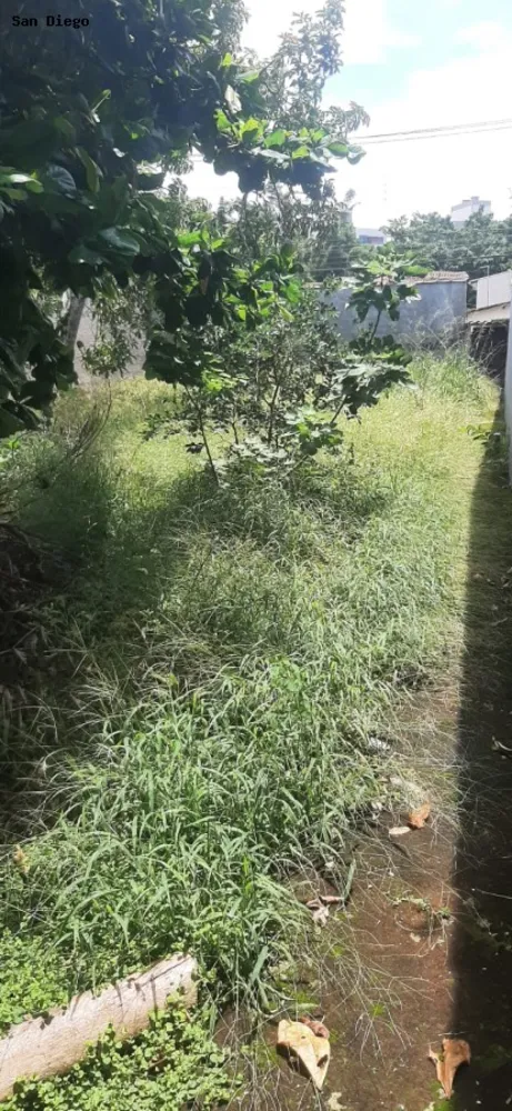 Terreno, 250 m² - Foto 3