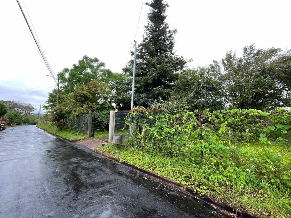 Terreno, 2908 m² - Foto 5