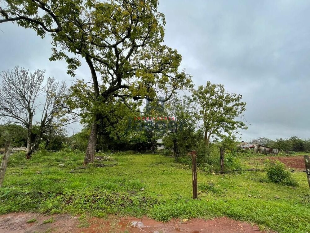 Terreno, 2908 m² - Foto 9