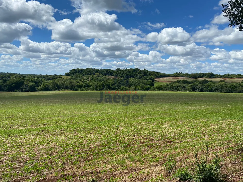 Sítio, 21 hectares - Foto 4
