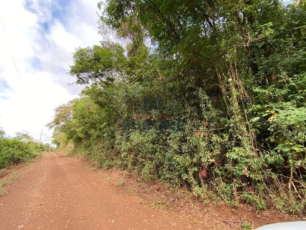 Sítio, 7 hectares - Foto 1