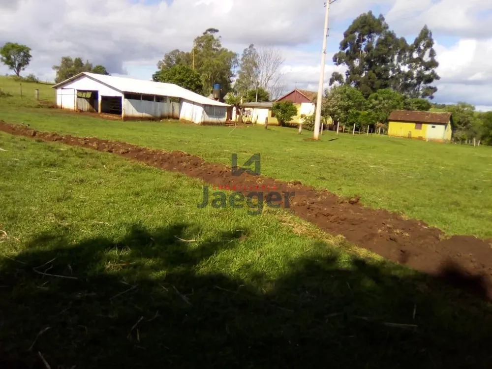 Chácara, 4 quartos, 1 hectares - Foto 4
