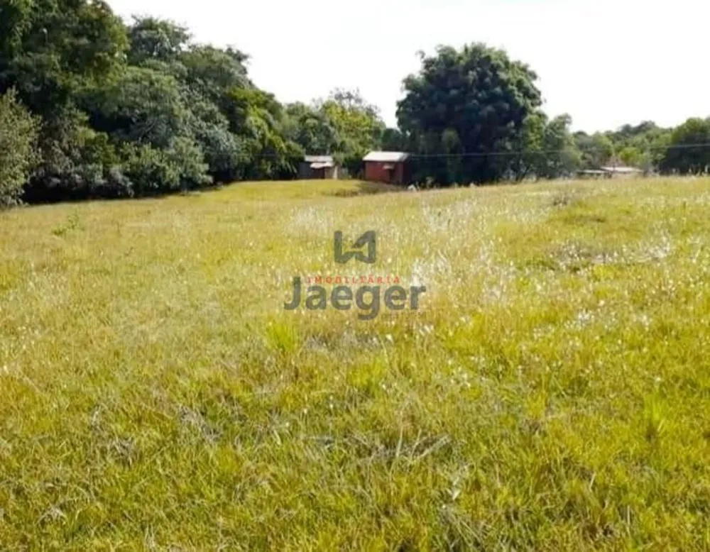 Chácara, 2 quartos, 10000 m² - Foto 4