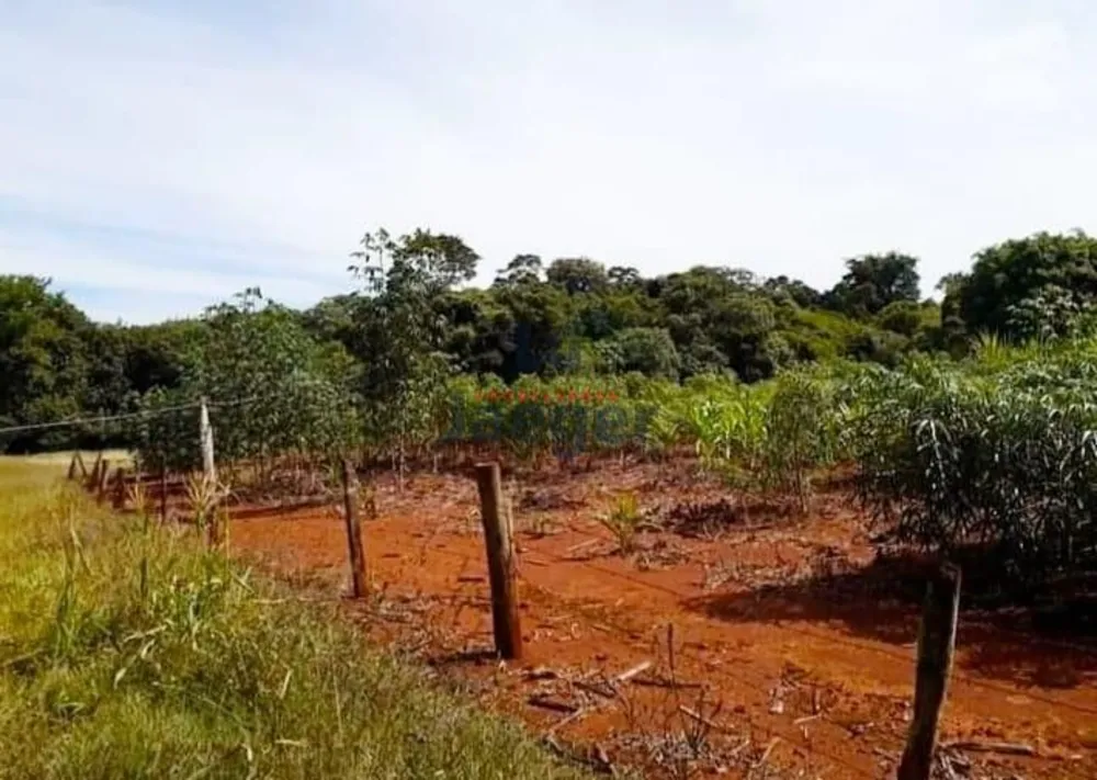 Chácara, 2 quartos, 10000 m² - Foto 5