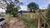 Terreno, 360 m² - Foto 3