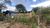 Terreno, 360 m² - Foto 5