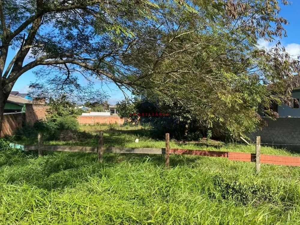 Terreno, 732 m² - Foto 4