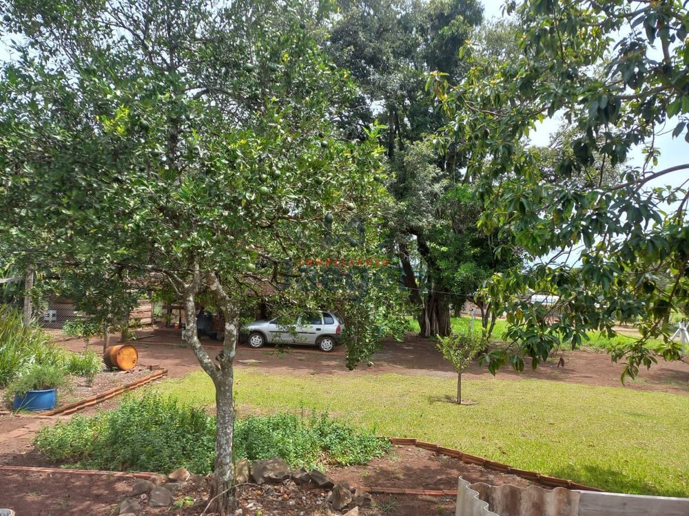 Sítio, 6000 hectares - Foto 15