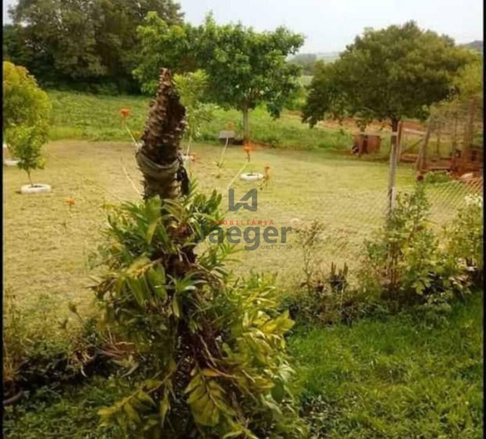Sítio, 1 hectares - Foto 6