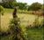 Sítio, 1 hectares - Foto 4