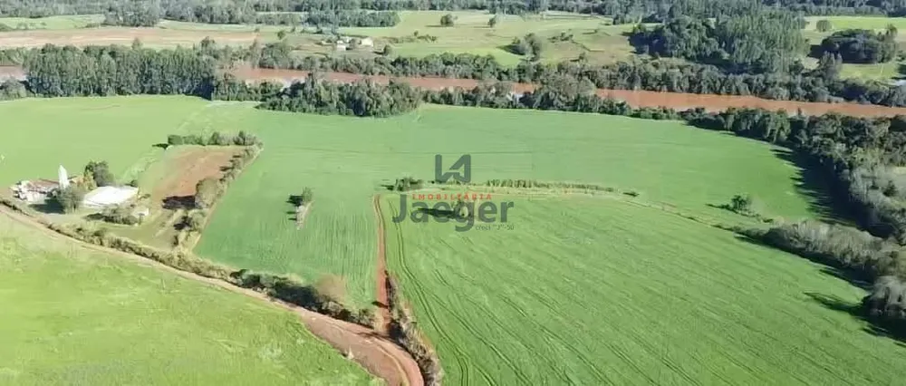 Sítio, 13 hectares - Foto 4