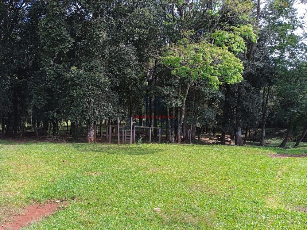 Chácara à venda com 3 quartos, 15000m² - Foto 7