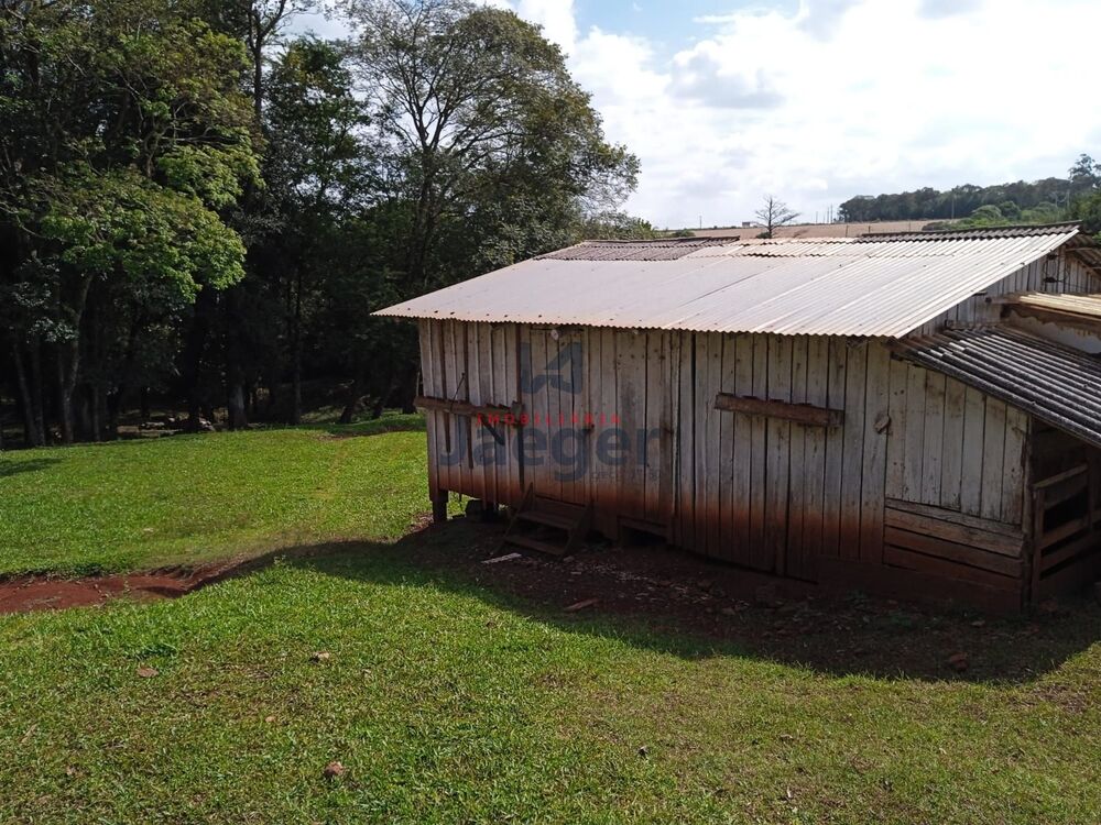 Chácara à venda com 3 quartos, 15000m² - Foto 5