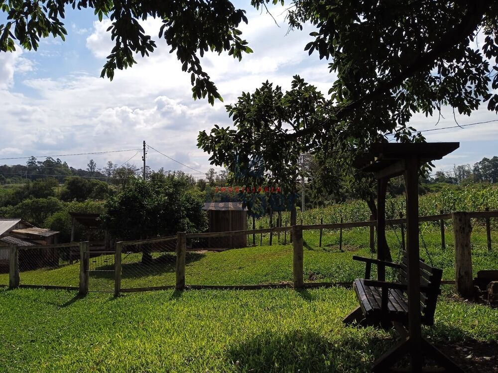 Chácara à venda com 3 quartos, 15000m² - Foto 4