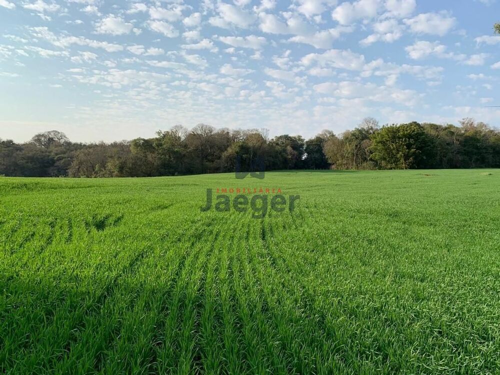 Chácara, 3 quartos, 140 m² - Foto 20