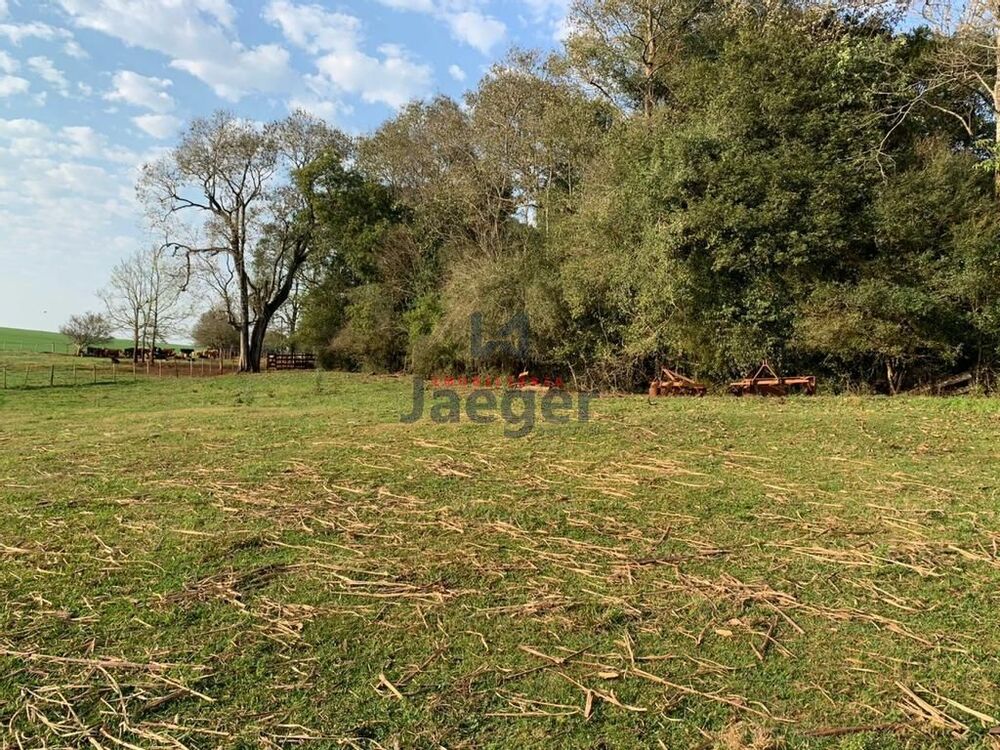 Chácara, 3 quartos, 140 m² - Foto 17