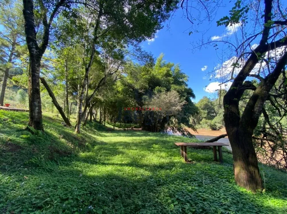 Sítio, 2000 m² - Foto 4