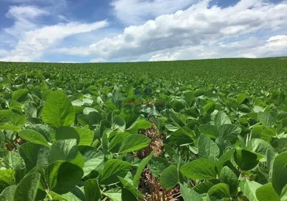 Fazenda, 8688 hectares - Foto 1