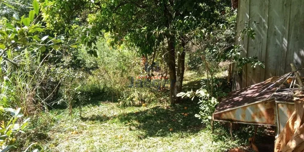 Sítio, 1 quarto, 8760 m² - Foto 5