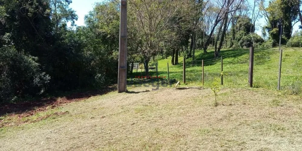 Sítio, 1 quarto, 8760 m² - Foto 8
