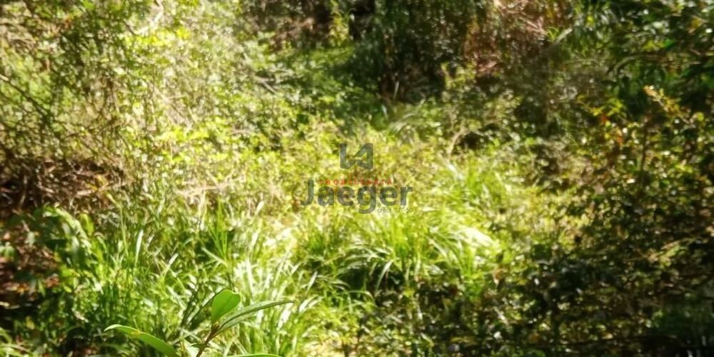 Sítio, 1 quarto, 8760 m² - Foto 10