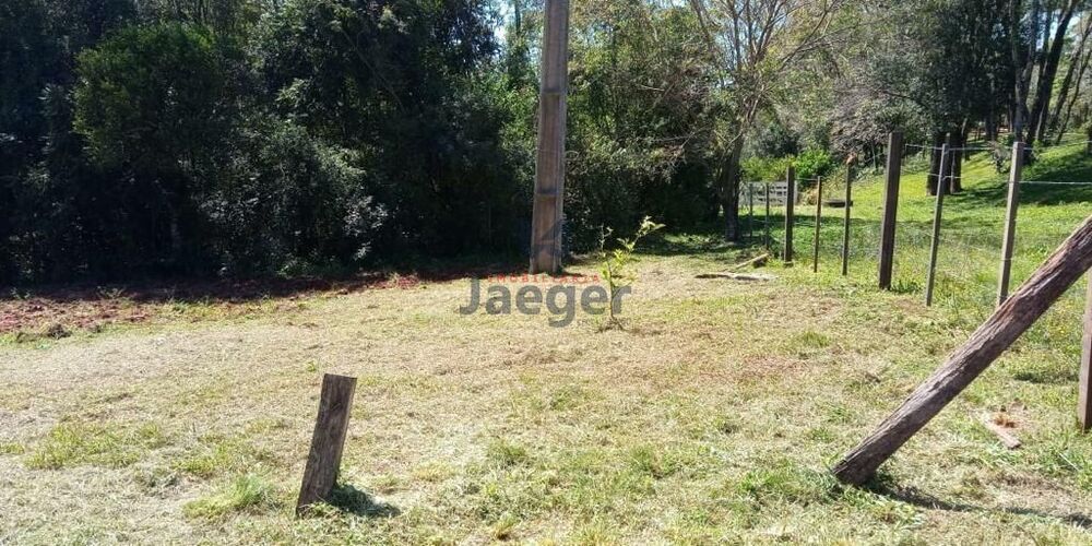 Sítio, 1 quarto, 8760 m² - Foto 3