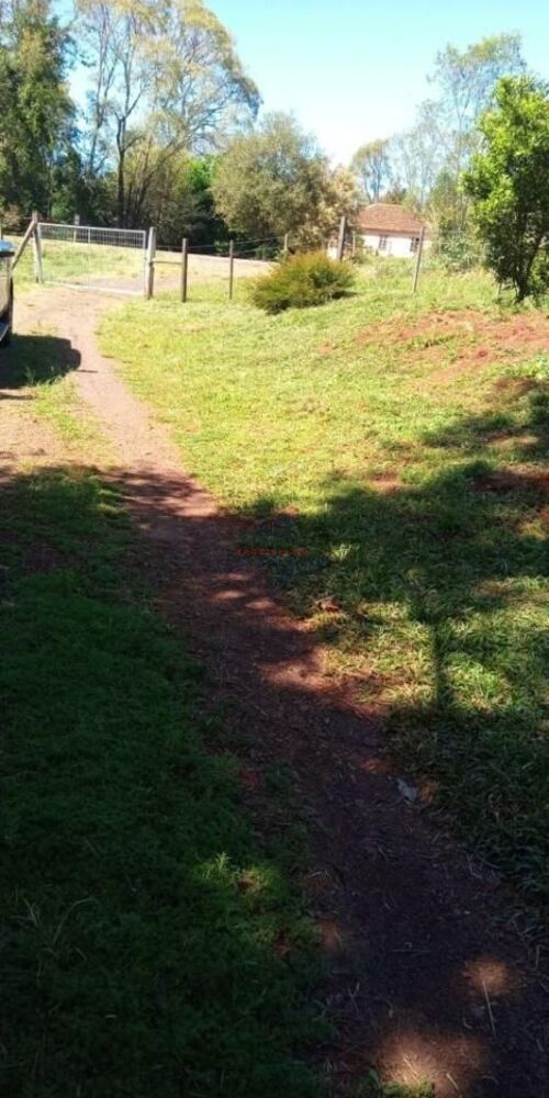 Sítio, 1 quarto, 8760 m² - Foto 12