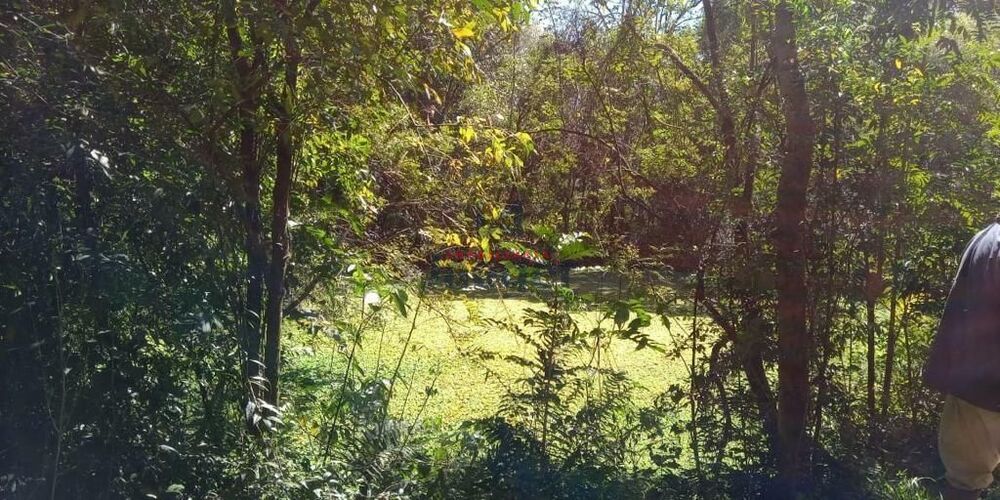 Sítio, 1 quarto, 8760 m² - Foto 6