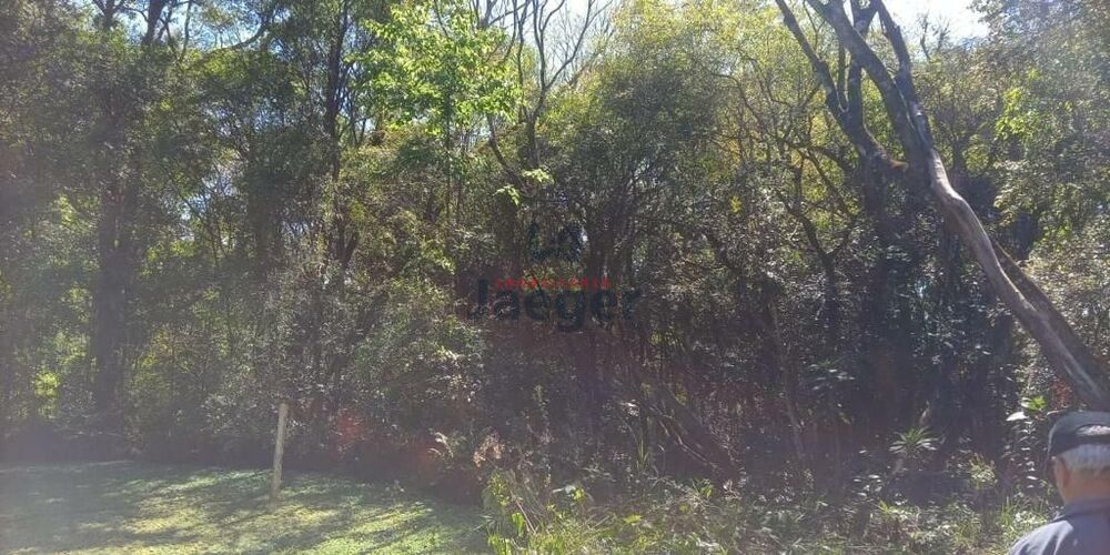 Sítio, 1 quarto, 8760 m² - Foto 7