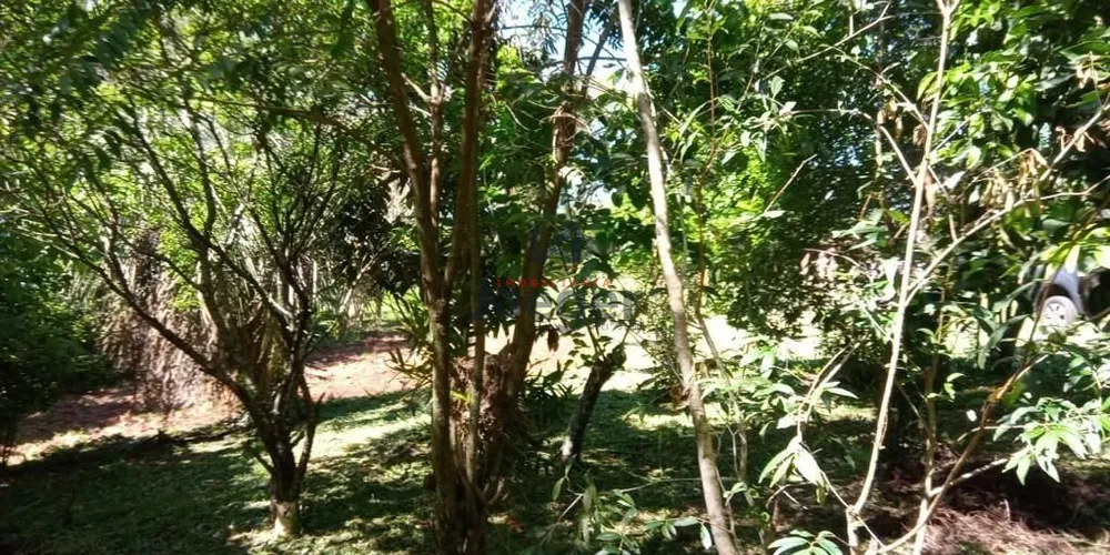 Sítio, 1 quarto, 8760 m² - Foto 20