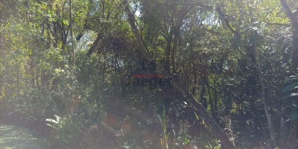 Sítio, 1 quarto, 8760 m² - Foto 9