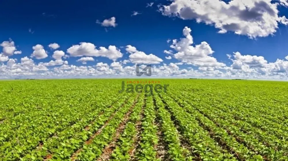 Terreno, 5 hectares - Foto 1
