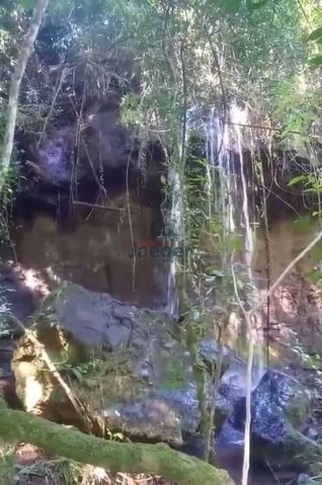 Fazenda-Sítio-Chácara, 20 hectares - Foto 3