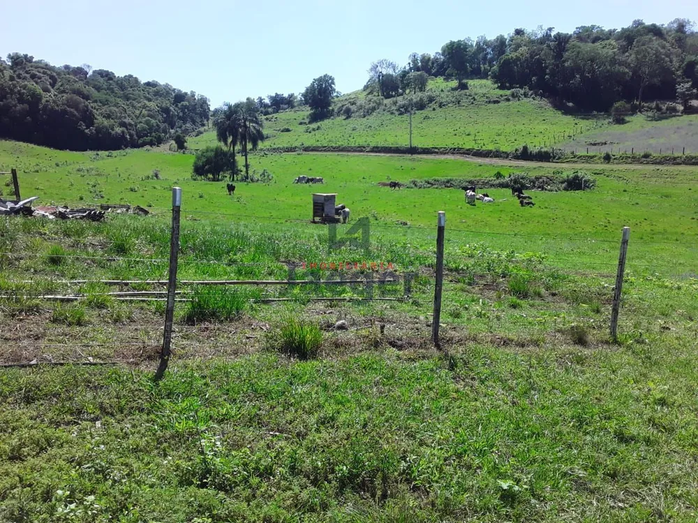 Chácara, 2 quartos, 18 hectares - Foto 2